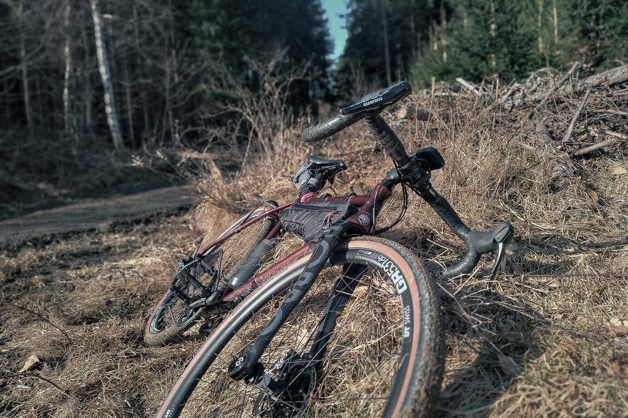 Gravel odpoczywający na ścieżce rowerowej w środku lasu