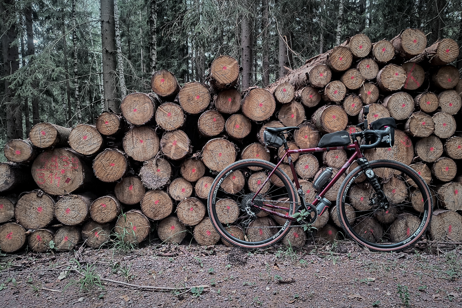 Spakowany rower gravelowy na tle świerzo ściętych konarów drzew